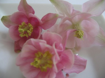 Juni 01 2013 056.JPG