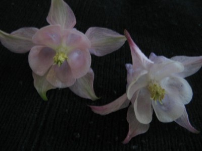 Juni 01 2013 058.JPG