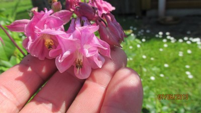 2013_1541.jpg
