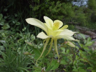 DSCI0433.JPG