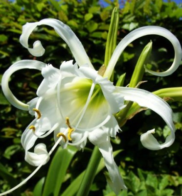 Photo3.jpg