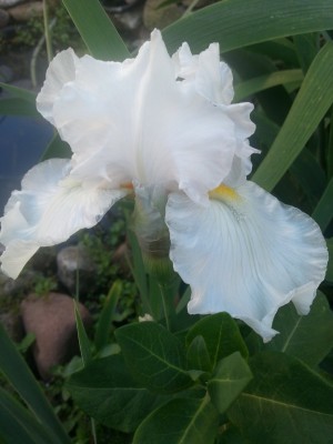 20130606_190120.jpg