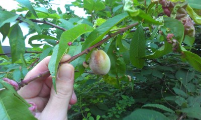 IMAG0043.jpg