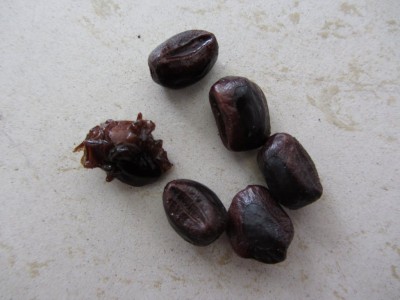 7bc00c37.xl.jpg