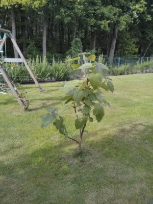 2013-06-02 18.05.53.jpg