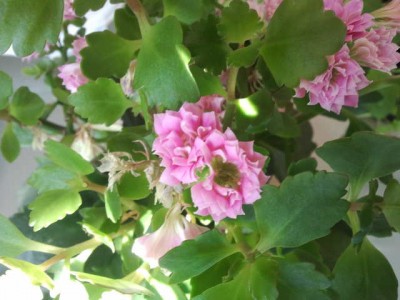 2013-06-12 10.57.48.jpg