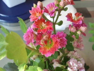 2013-06-12 10.57.01.jpg