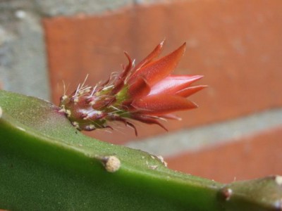 Photo12.jpg