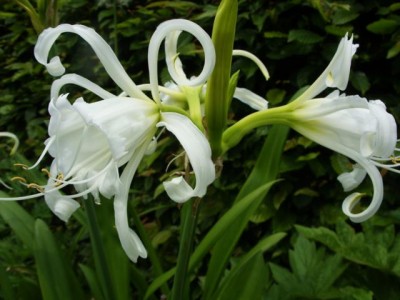 Photo1.jpg