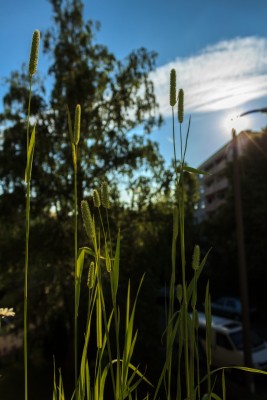 IMG_7173.jpg