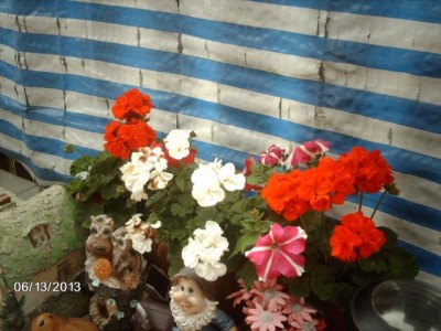 K640_IMAG3323.JPG
