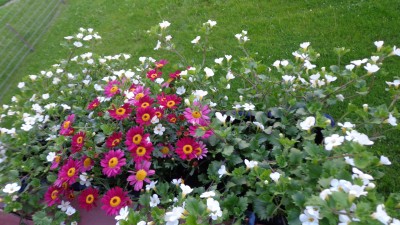 03.06.2013 002.JPG