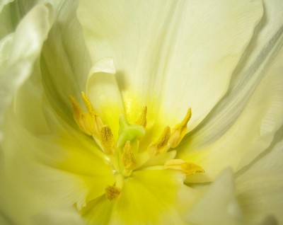 ich habe nur Ringe unter den Augen....jpg