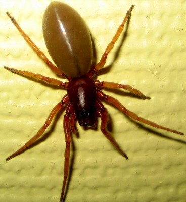 2013-Tiere-002.jpg