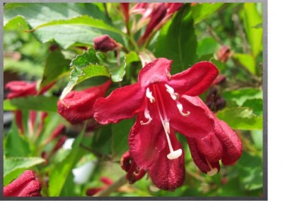 Puzzle rotierend.jpg