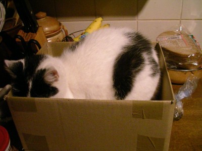 samentrocknung 001.JPG