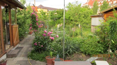 Garten 2013 035.jpg