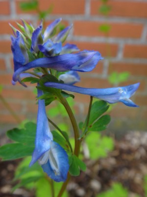 DSC00833 (Kopie).JPG