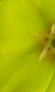 DSC00832 (2 (Kopie).JPG