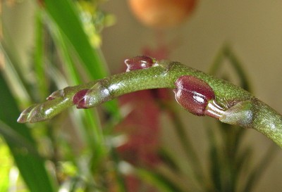 IMG_5308.JPG