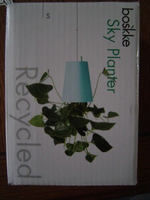 Sky Planter.jpg