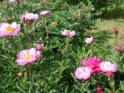 DSCN3119.JPG