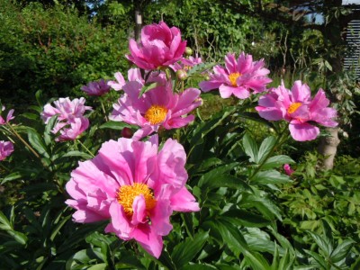 DSCN3121.JPG