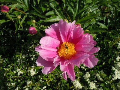 DSCN3120.JPG