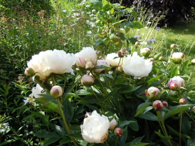 DSCN3117.JPG
