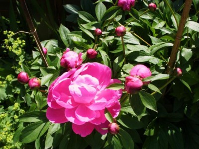 Photo9.jpg