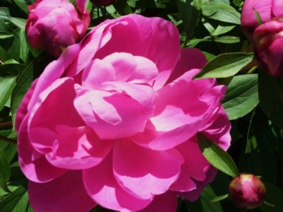 Photo8.jpg