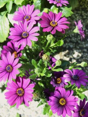 Photo5.jpg