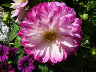 Photo7.jpg