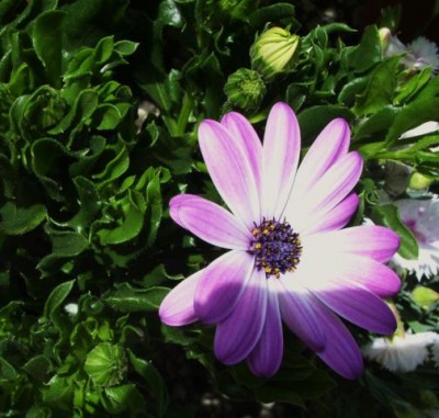 Photo4.jpg