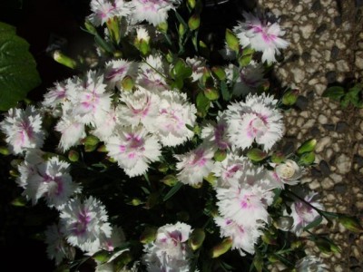 Photo3.jpg