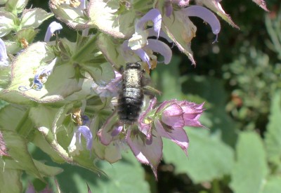 IMG_6169.JPG