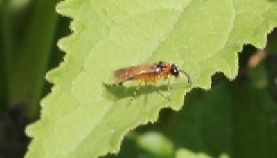 IMG_6083.JPG