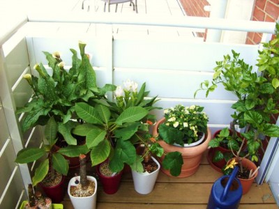 Photo8.jpg
