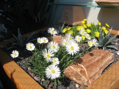 Balkon_03.JPG