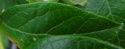 DSC00840 (1) (Kopie).JPG