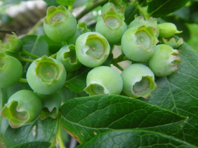 DSC00840 (Kopie).JPG