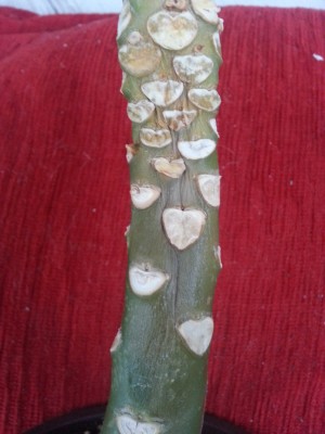 20130620_205633.jpg