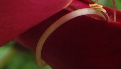 DSC00853 (1) (Kopie).JPG