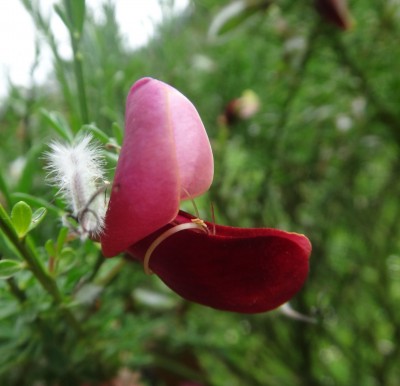 DSC00853 (Kopie).JPG