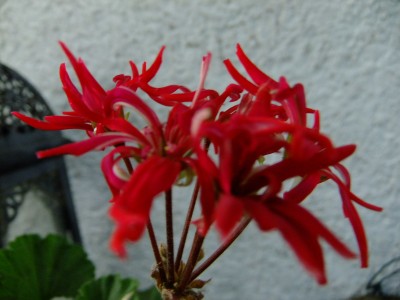 DSCF5687.JPG