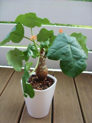 Photo3.jpg