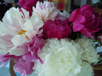 DSCN3137.JPG