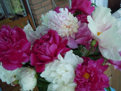 DSCN3136.JPG