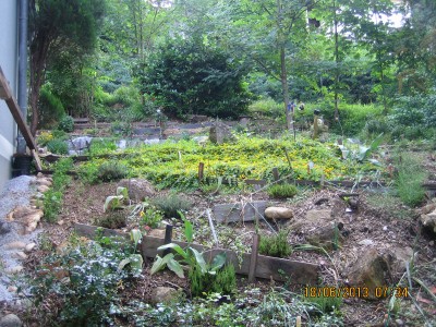 2013-06-18 07-34-31.JPG