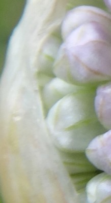 DSC00844 (1) (Kopie).JPG